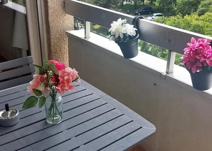 Cosy Pres De La Cepiere Apartment